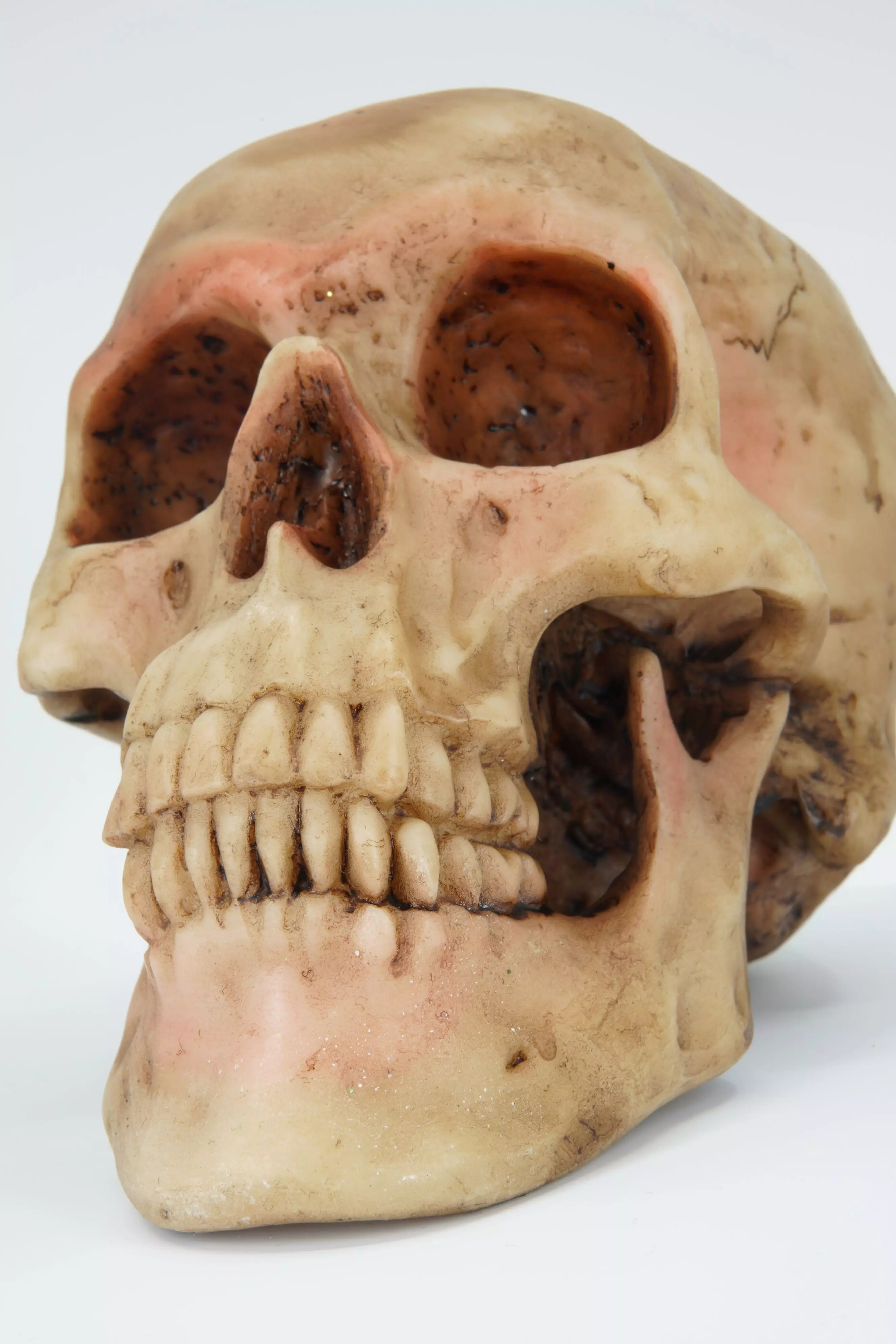 Realistic - Human Skull Low-poly 3D model_0