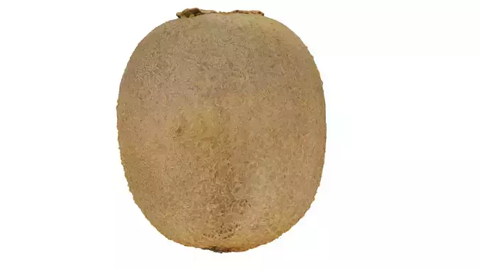 Realistic - Kiwi coconut fruit Low-poly 3D model