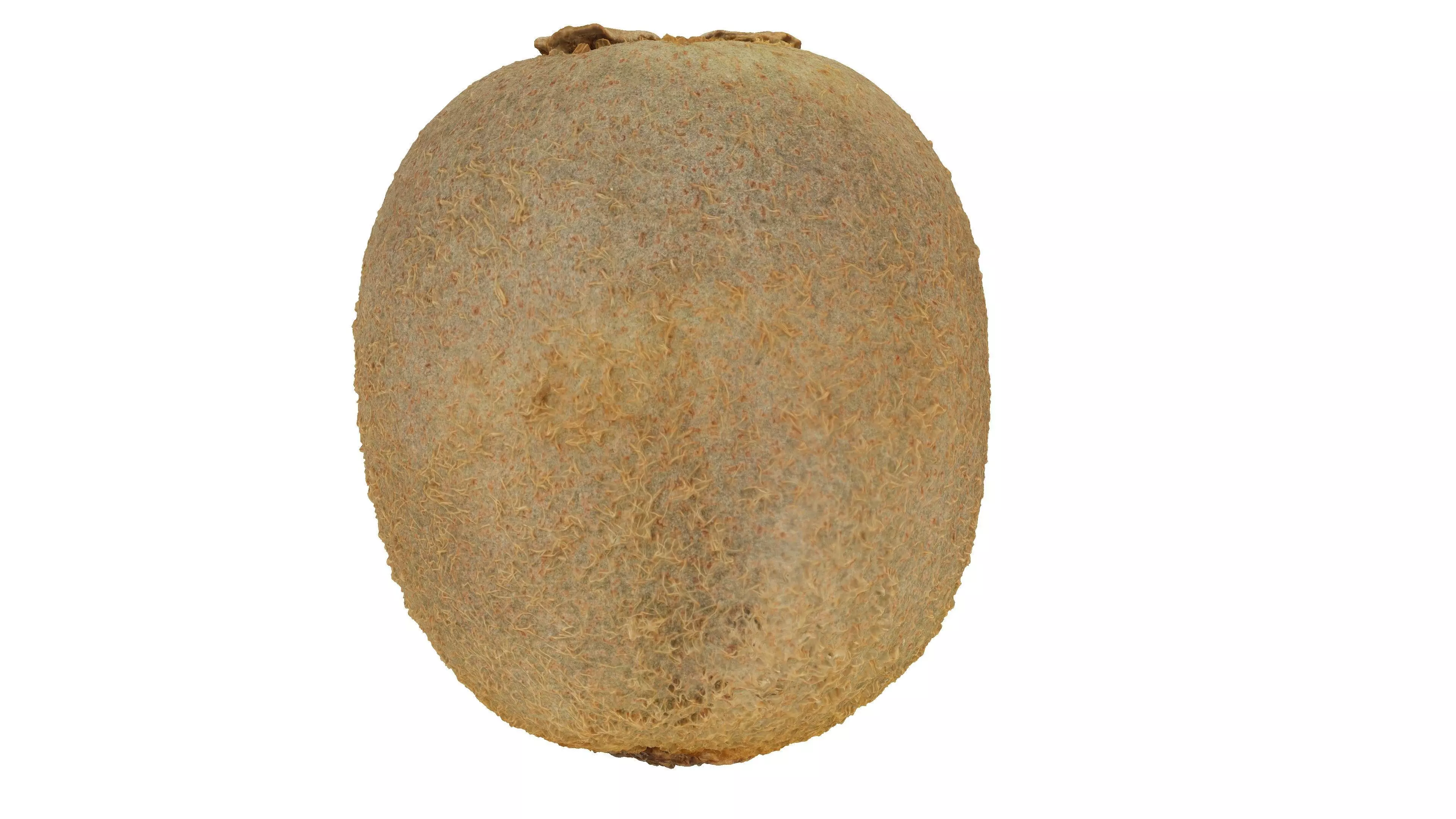 Realistic - Kiwi coconut fruit Low-poly 3D model_0