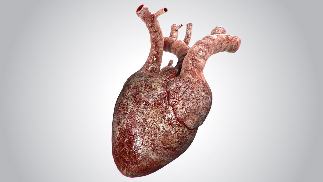 Heart Bloody Rigged Animated PBR Low-poly 3D model_3