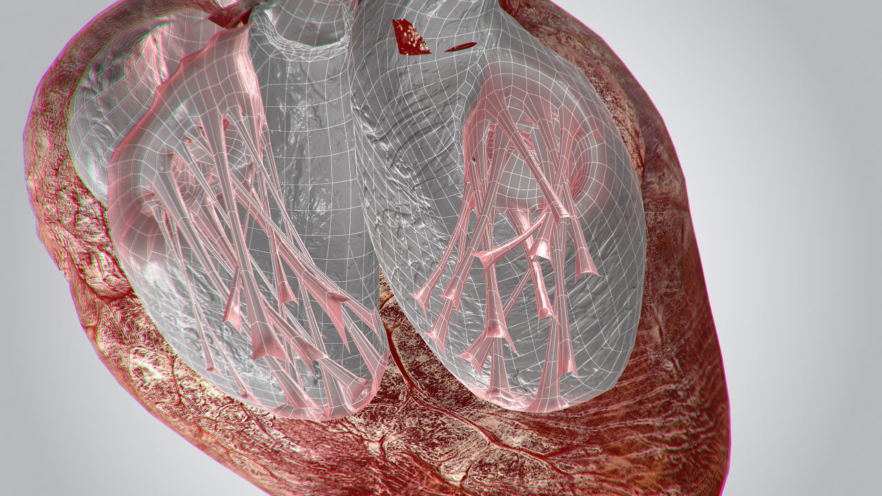 Heart Bloody Rigged Animated PBR Low-poly 3D model_23