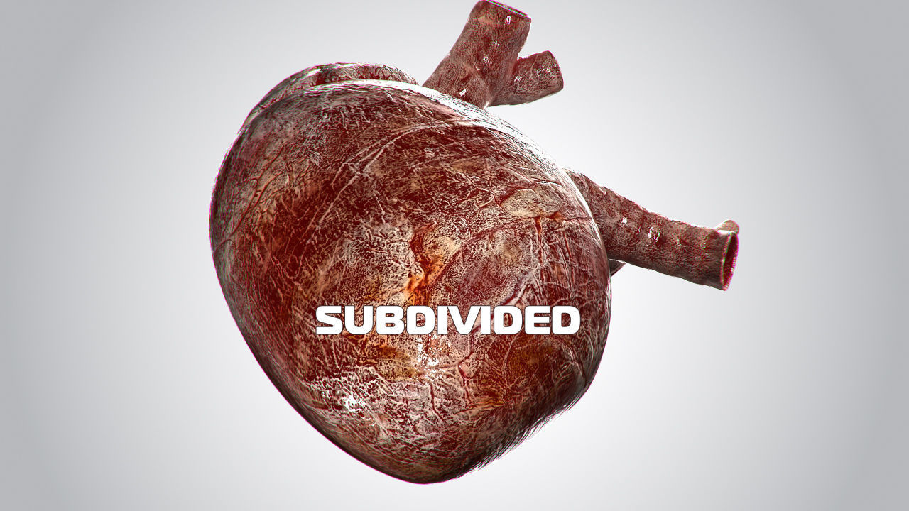 Heart Bloody Rigged Animated PBR Low-poly 3D model_21