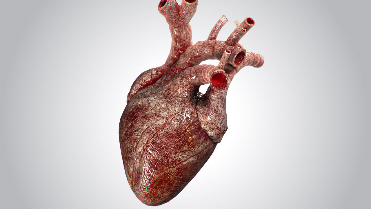 Heart Bloody Rigged Animated PBR Low-poly 3D model_6