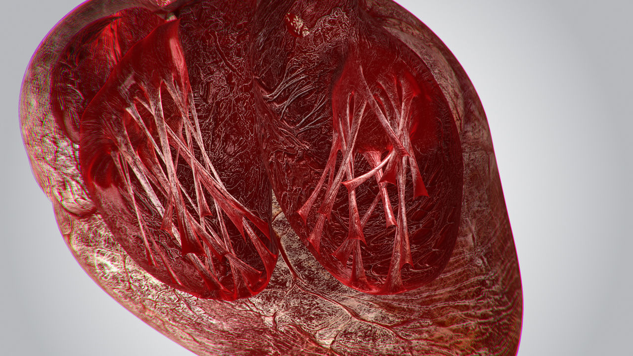 Heart Bloody Rigged Animated PBR Low-poly 3D model_9