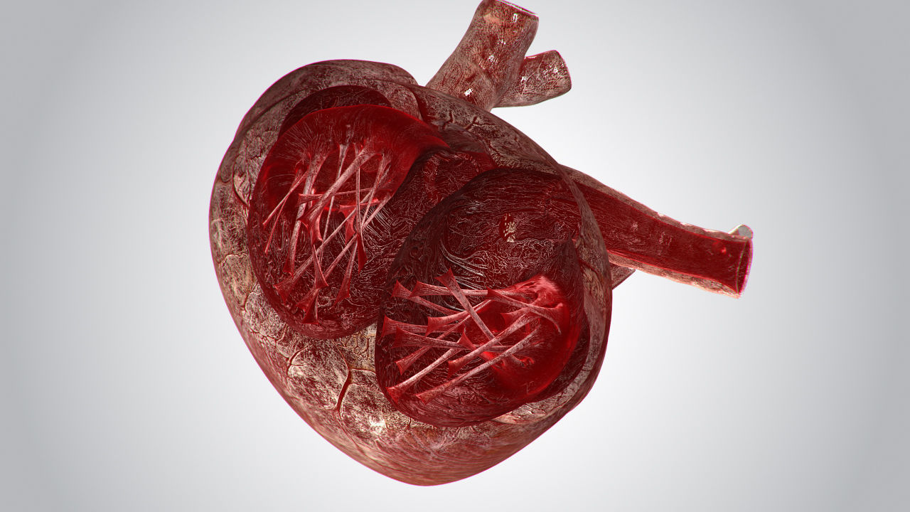 Heart Bloody Rigged Animated PBR Low-poly 3D model_12