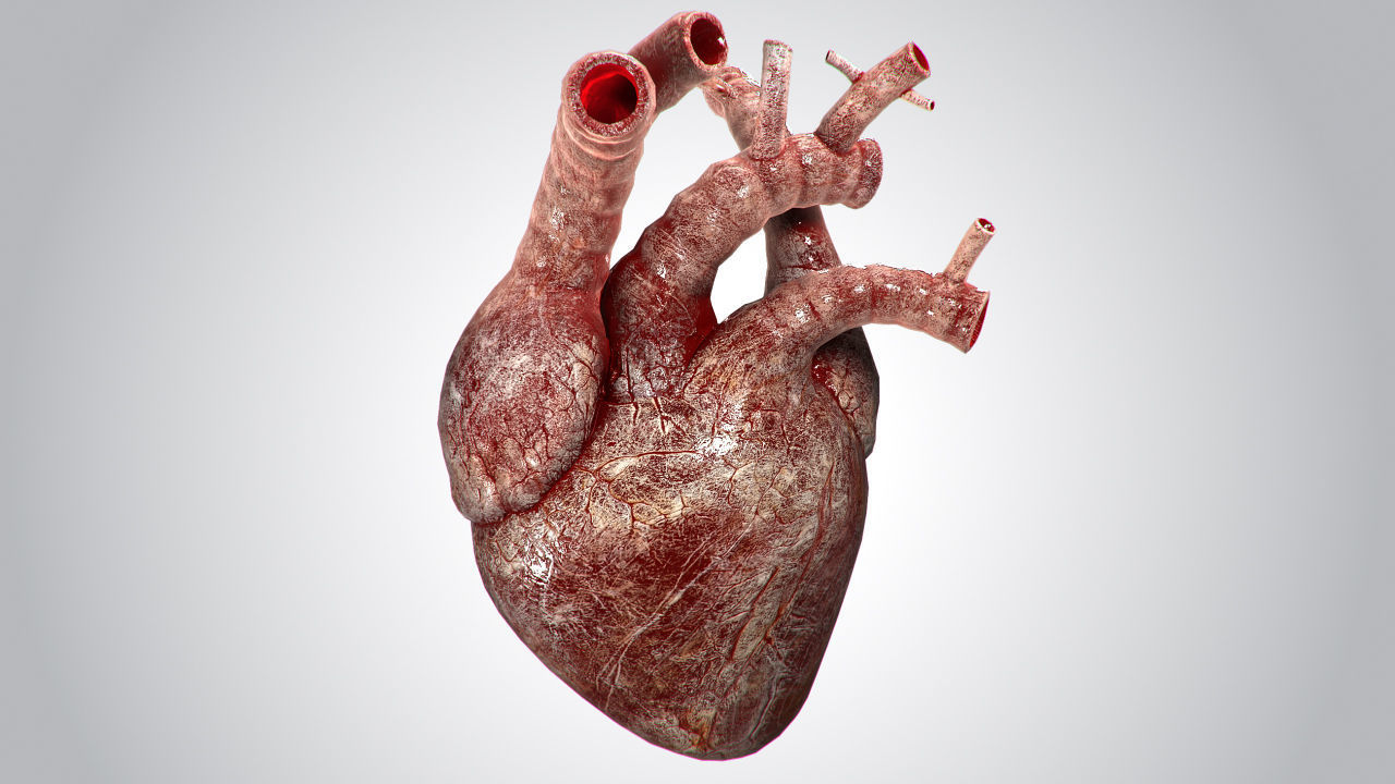 Heart Bloody Rigged Animated PBR Low-poly 3D model_2