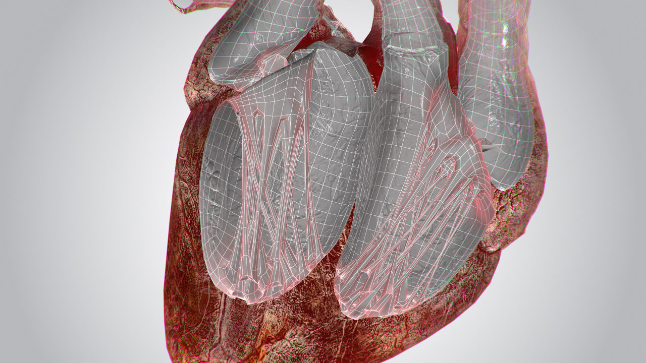 Heart Bloody Rigged Animated PBR Low-poly 3D model_25