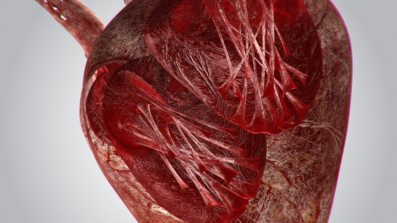 Heart Bloody Rigged Animated PBR Low-poly 3D model_10