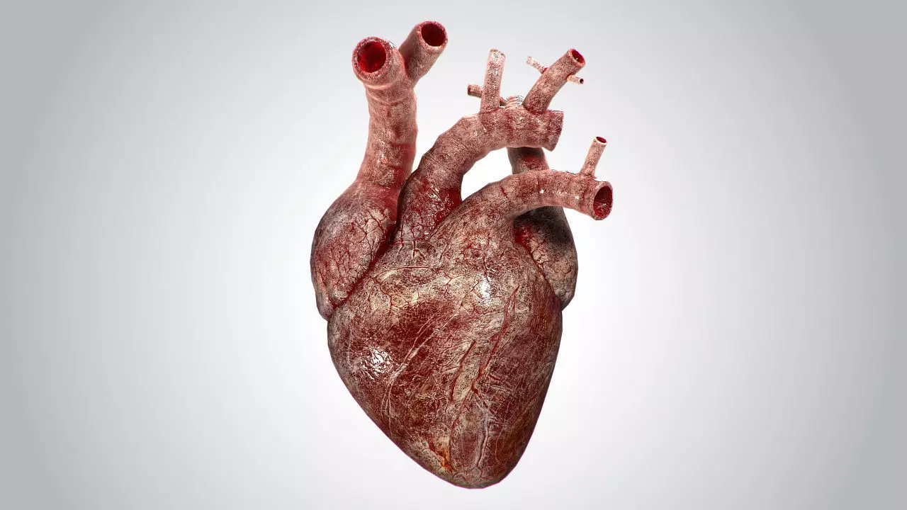 Heart Bloody Rigged Animated PBR Low-poly 3D model_0