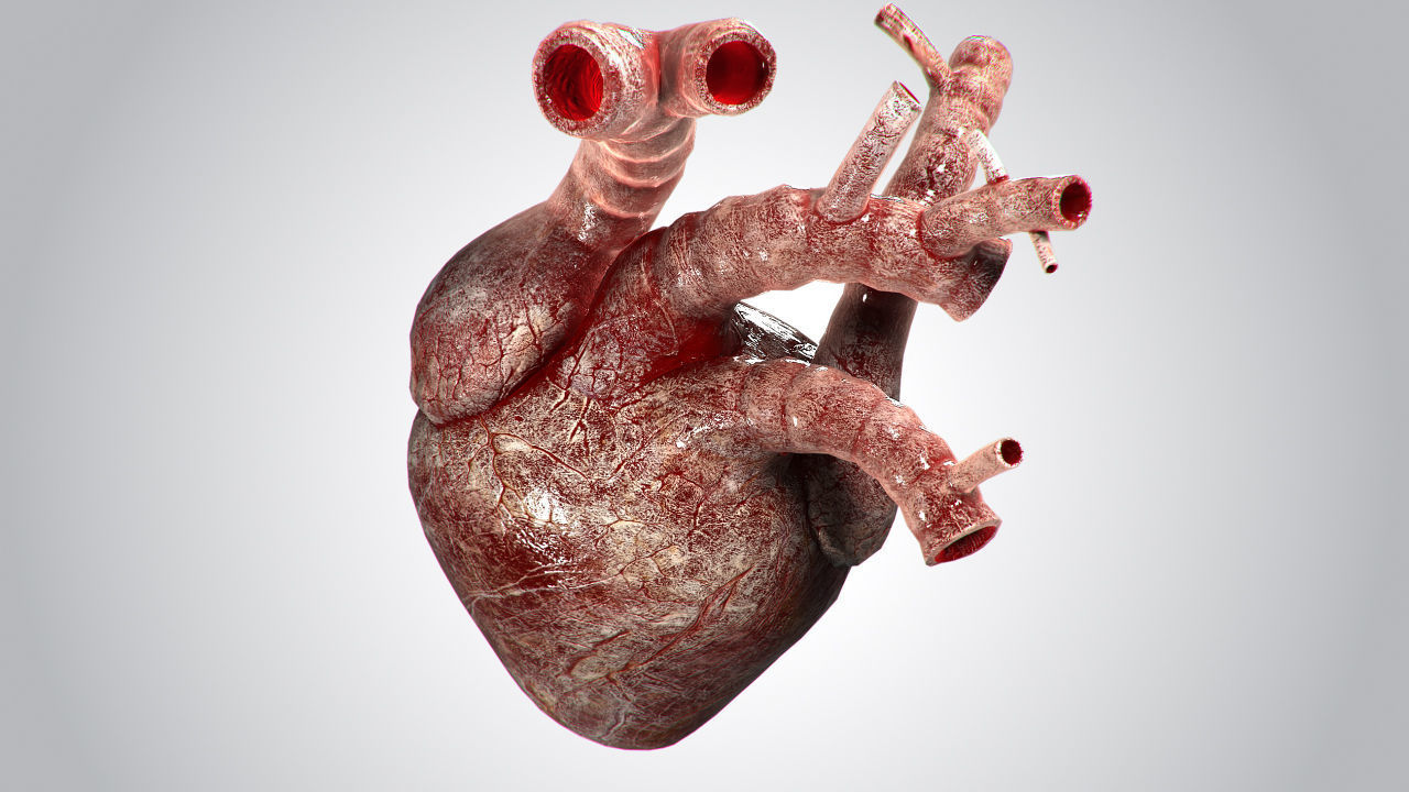 Heart Bloody Rigged Animated PBR Low-poly 3D model_7