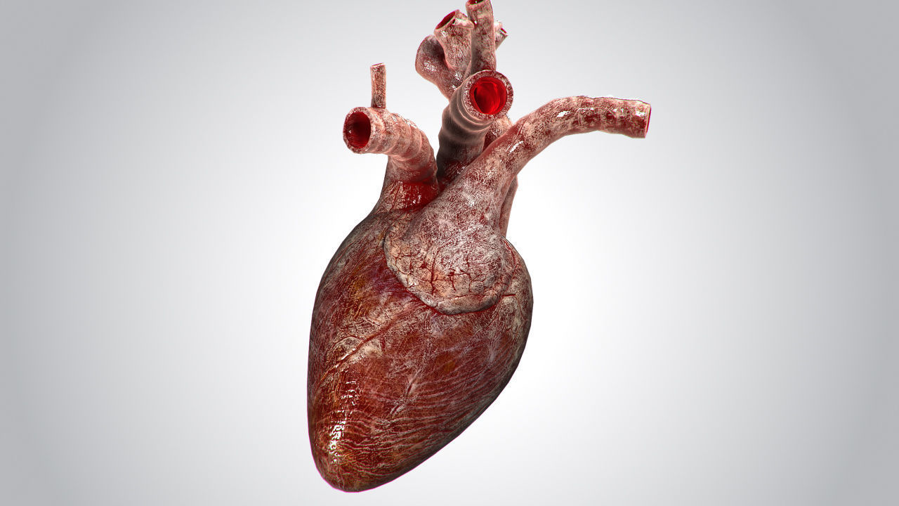 Heart Bloody Rigged Animated PBR Low-poly 3D model_5