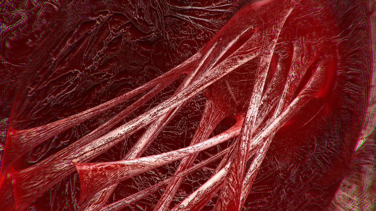 Heart Bloody Rigged Animated PBR Low-poly 3D model_13