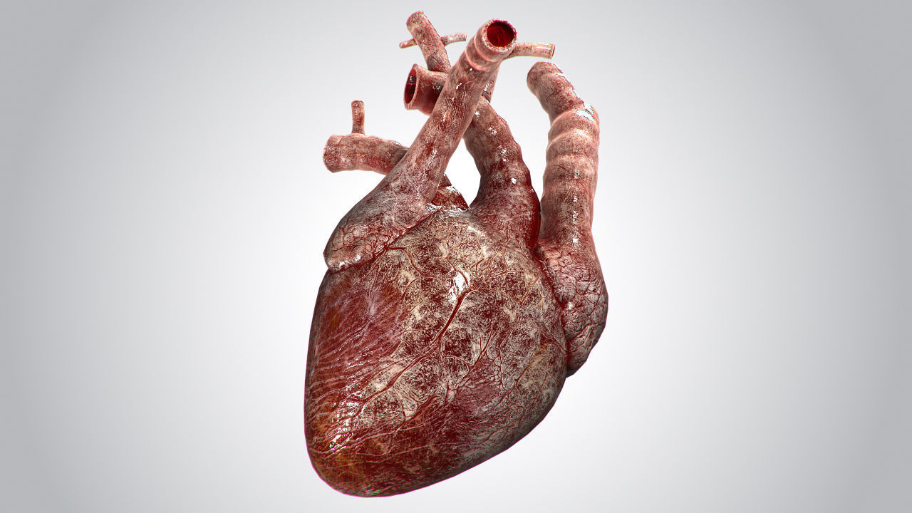Heart Bloody Rigged Animated PBR Low-poly 3D model_4
