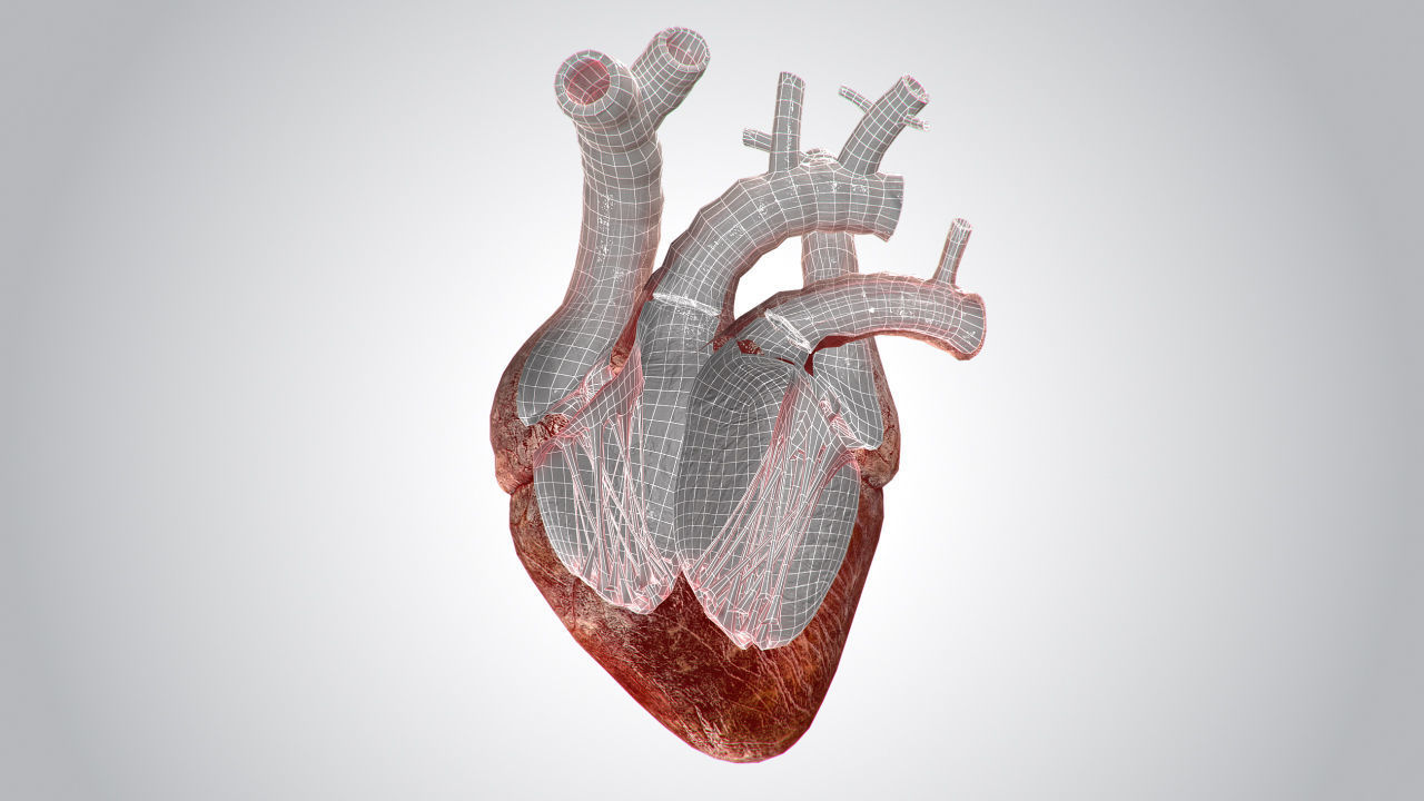 Heart Bloody Rigged Animated PBR Low-poly 3D model_22