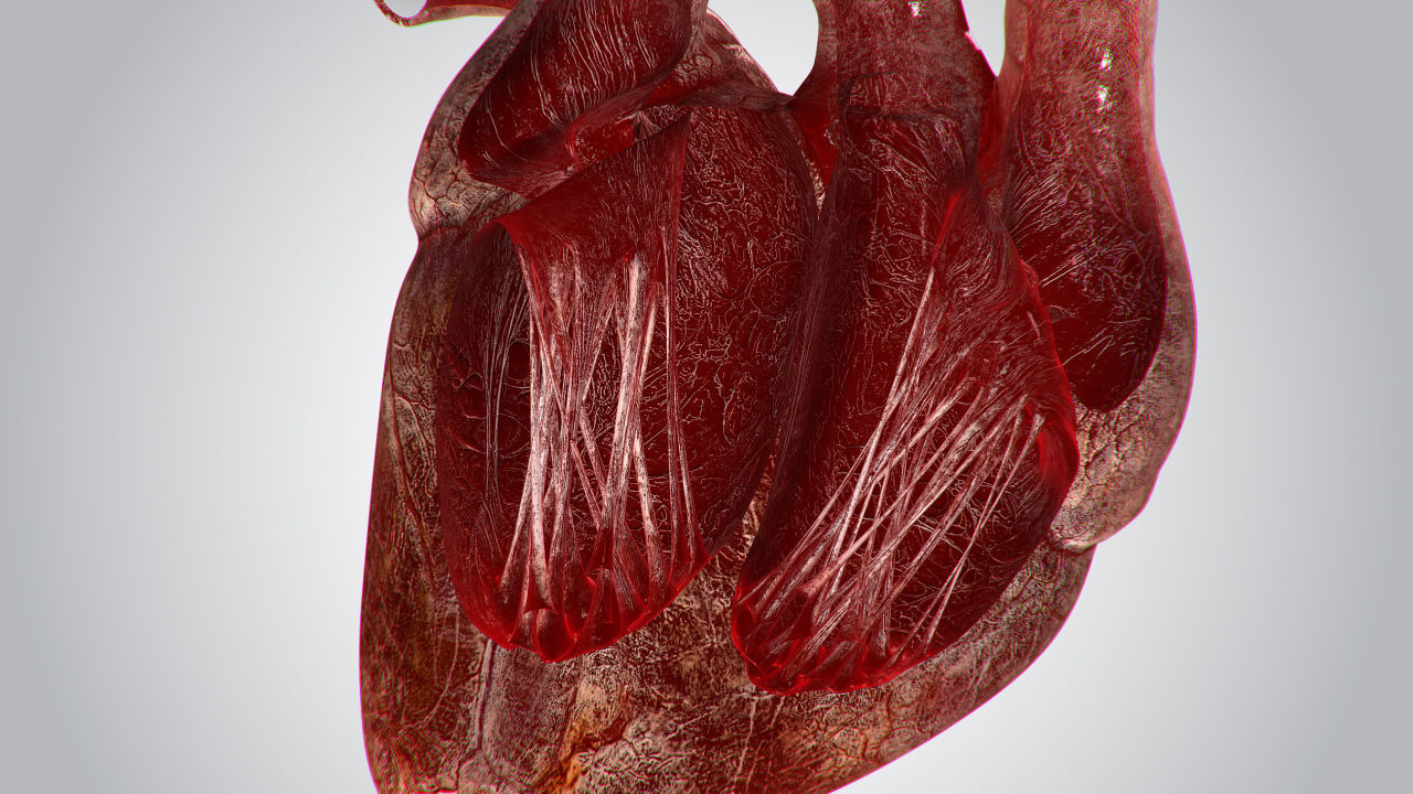 Heart Bloody Rigged Animated PBR Low-poly 3D model_11