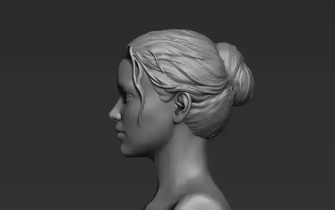 Hair Sculpt 07 3D model