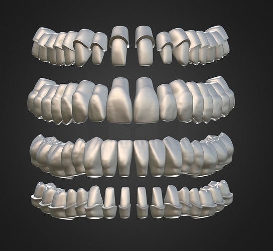 Teeth Anatomy Library with Thimble Crowns - Azure 3D print model