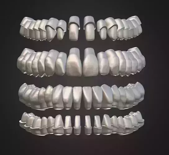 Teeth Anatomy Library with Thimble Crowns - Azure 3D print model