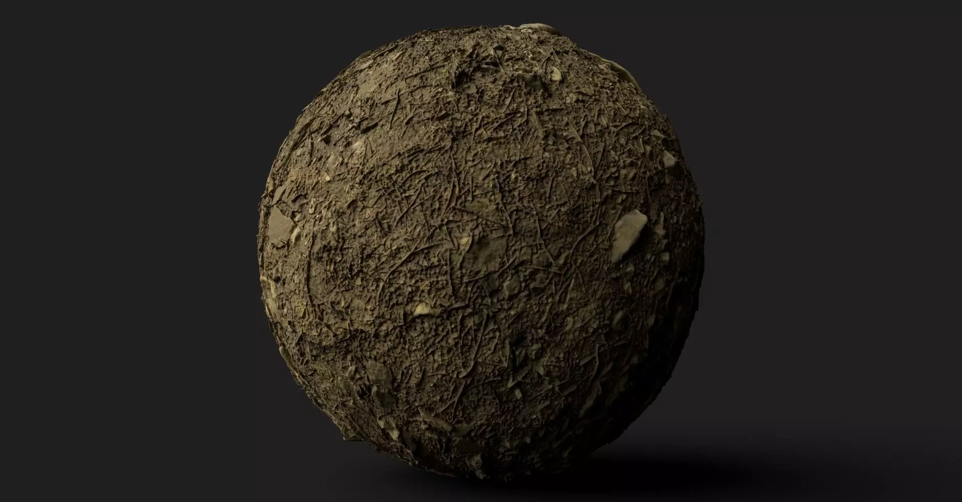 PBR Scanned Rocky Forest Ground Texture_0