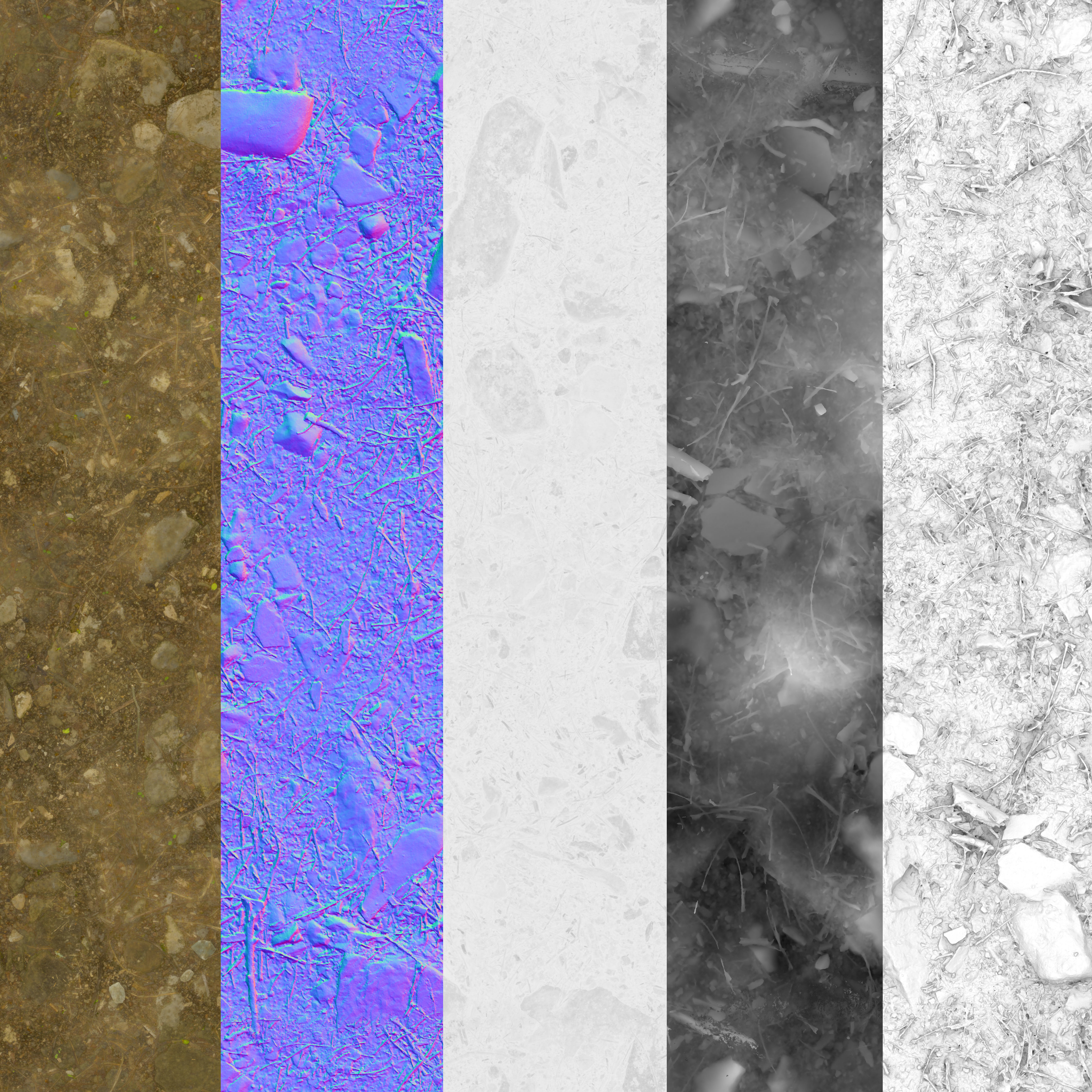 PBR Scanned Rocky Forest Ground Texture_4