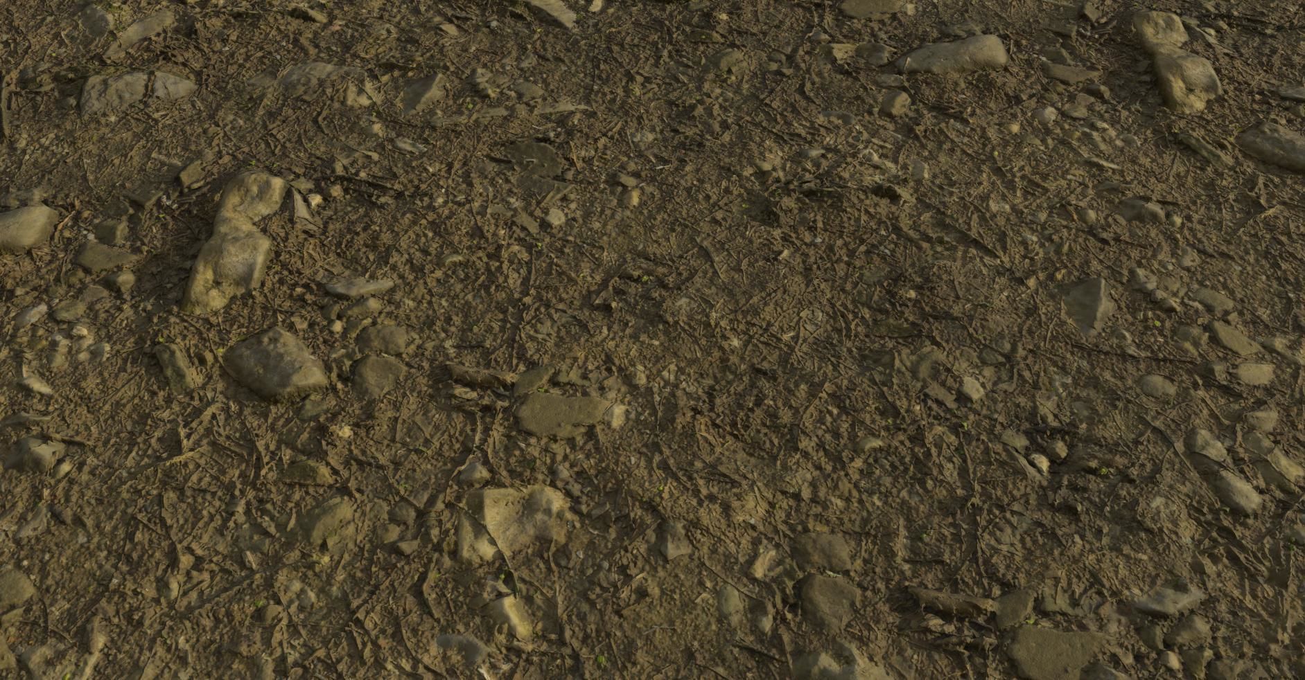 PBR Scanned Rocky Forest Ground Texture_2
