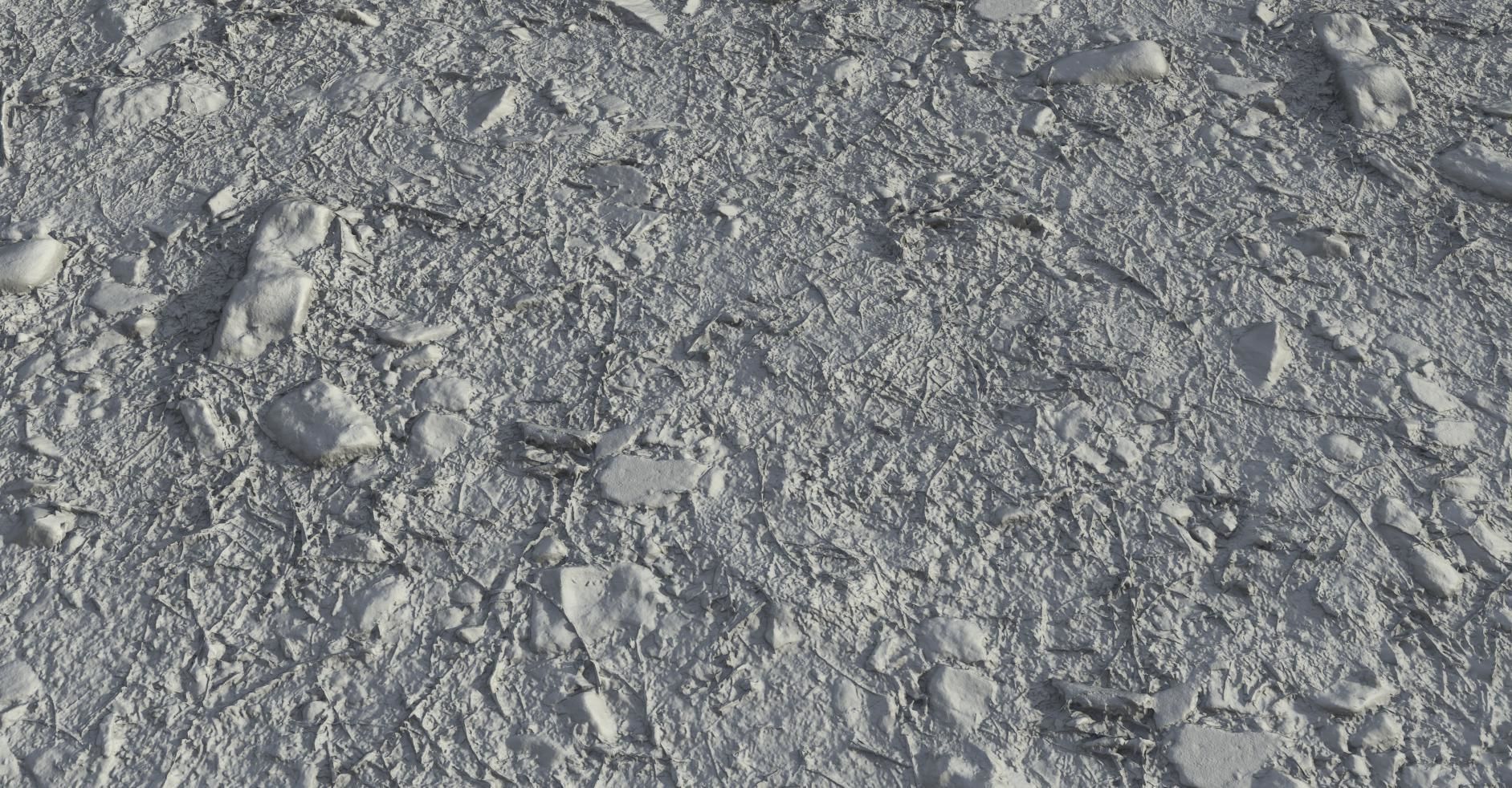PBR Scanned Rocky Forest Ground Texture_3