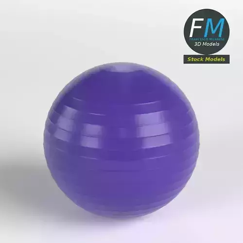 Fitball exercise ball