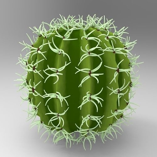 Cactus Low-poly 3D model