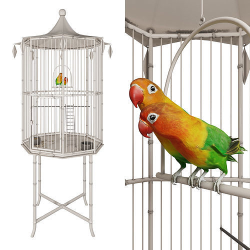 Cage with lovebirds 3D model