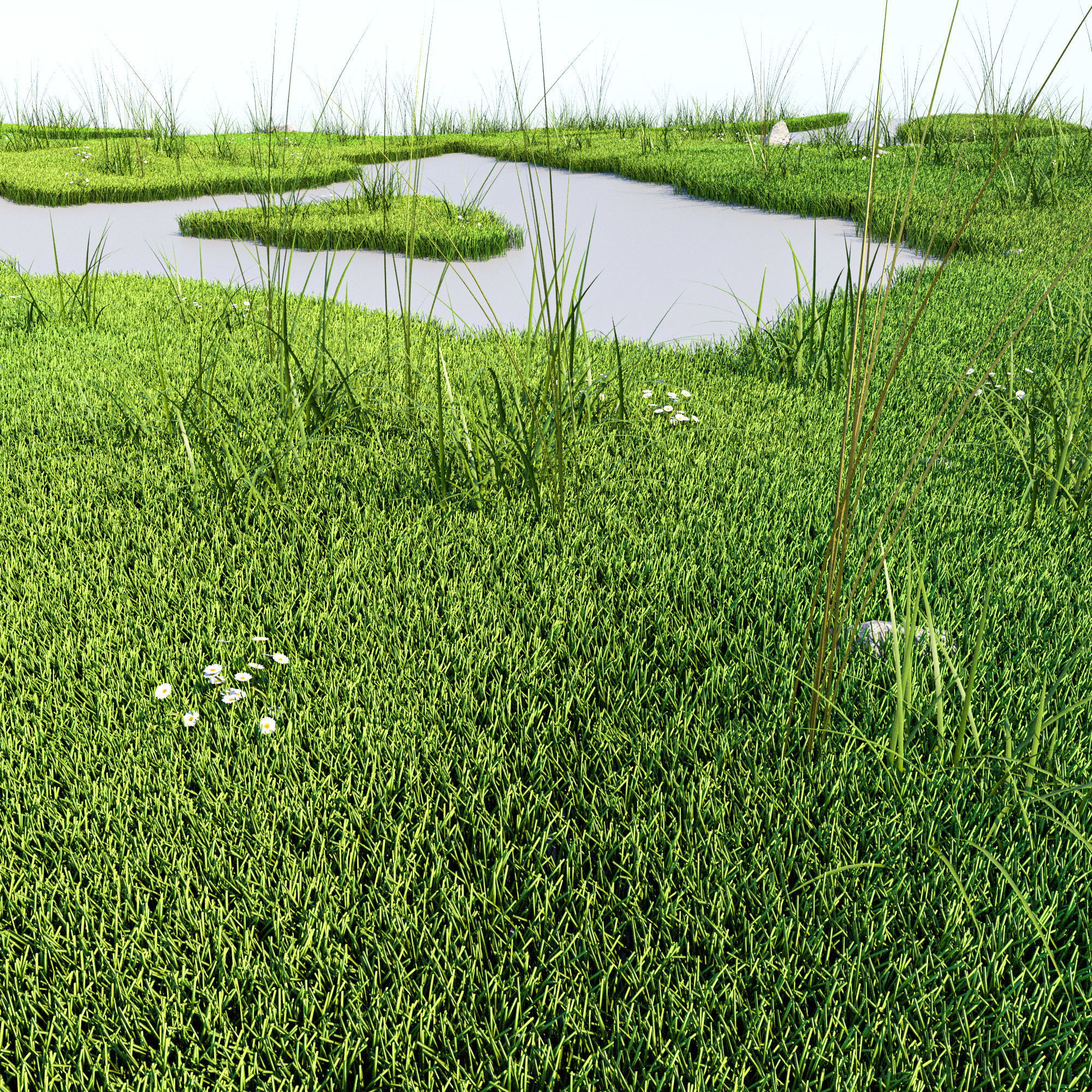 Grass Kit v 4-5 for Cinema 4D R20 R21 3D model 3D model_4