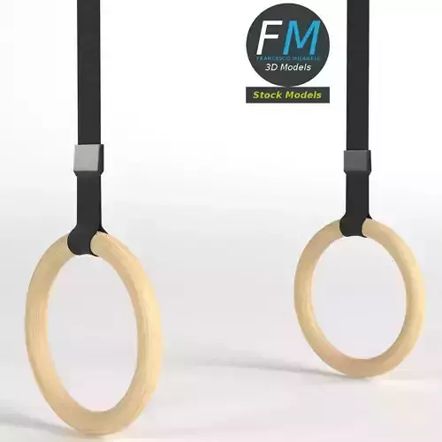 Gymnastics rings