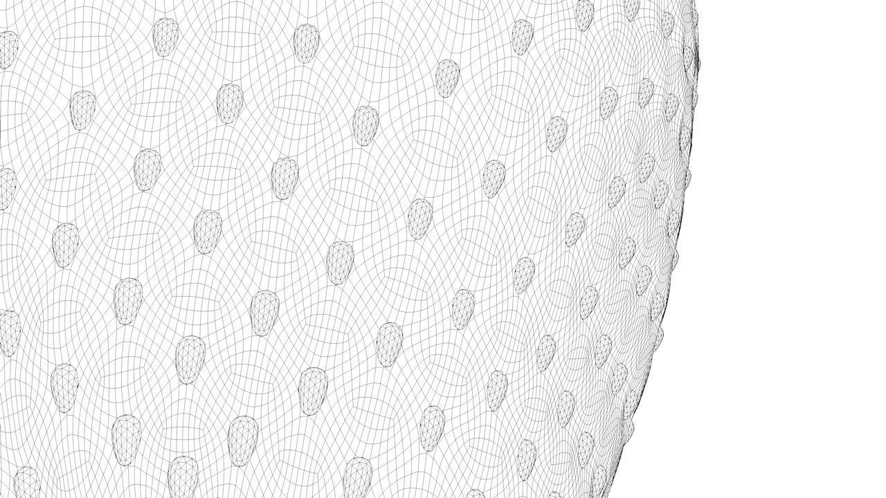 Strawberry 3D model_8