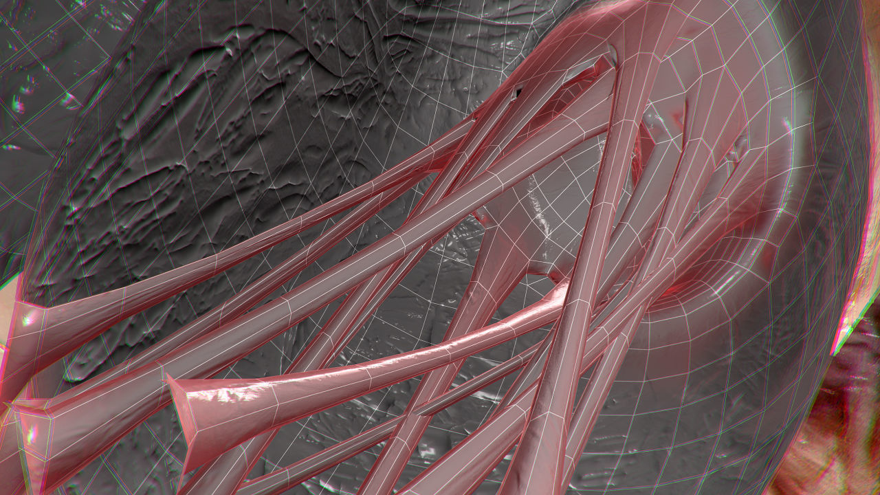 Heart human Low-poly 3D model_14