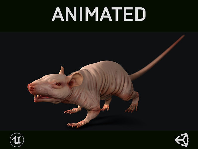 Naked Rat Low-poly 3D model