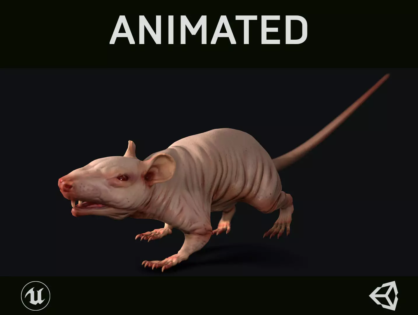 Rat Low-poly 3D model