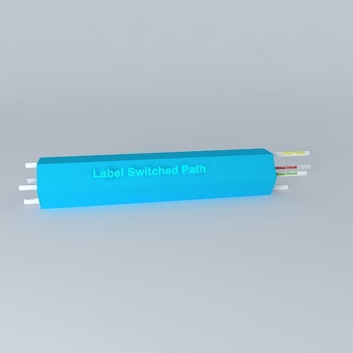 MPLS Label Switch Path 3D model_2
