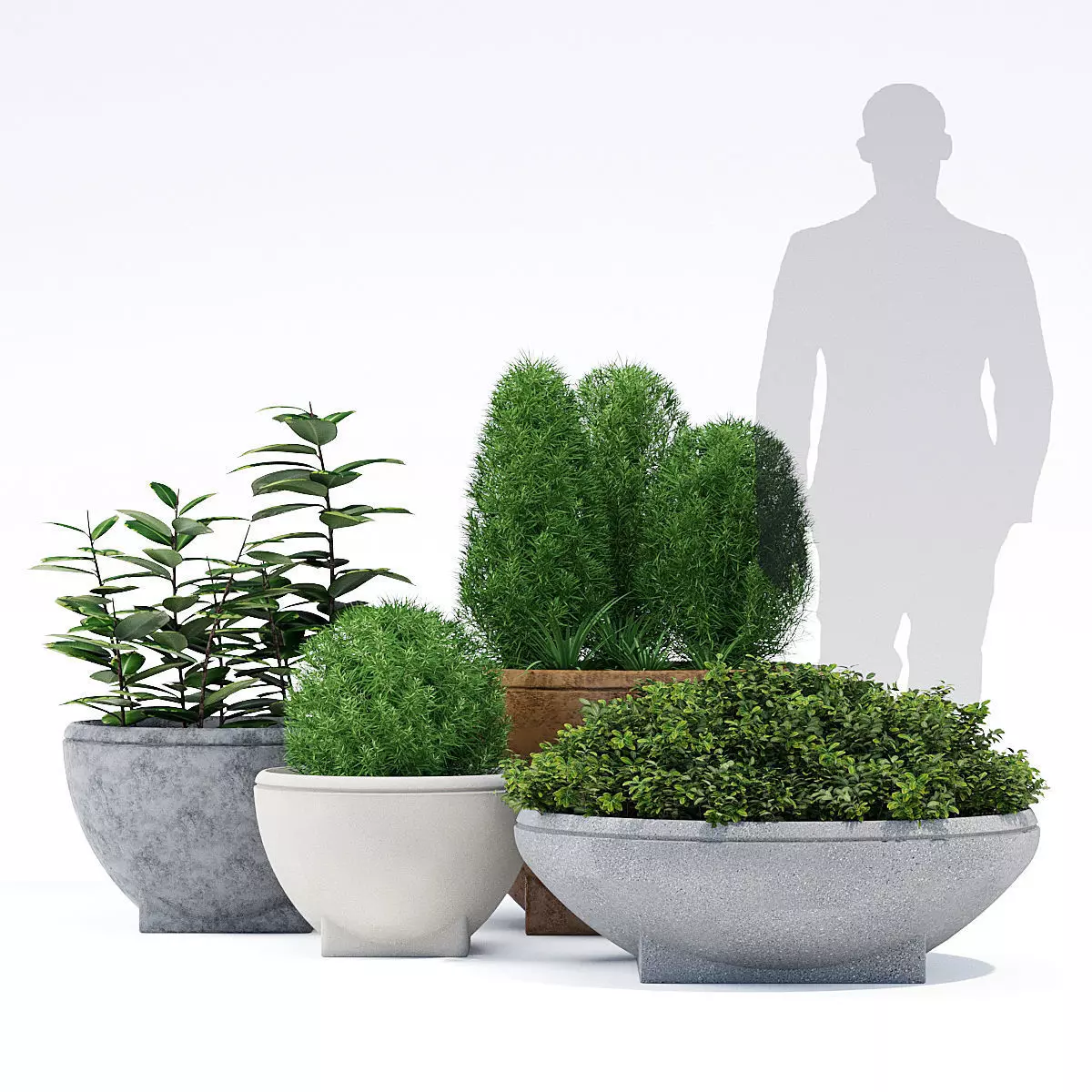 Rosa Planter 3D model