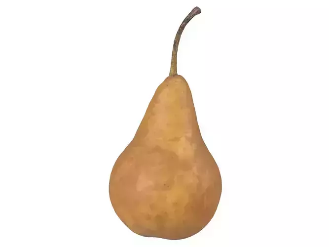 Photorealistic Pear 3D Scan 7