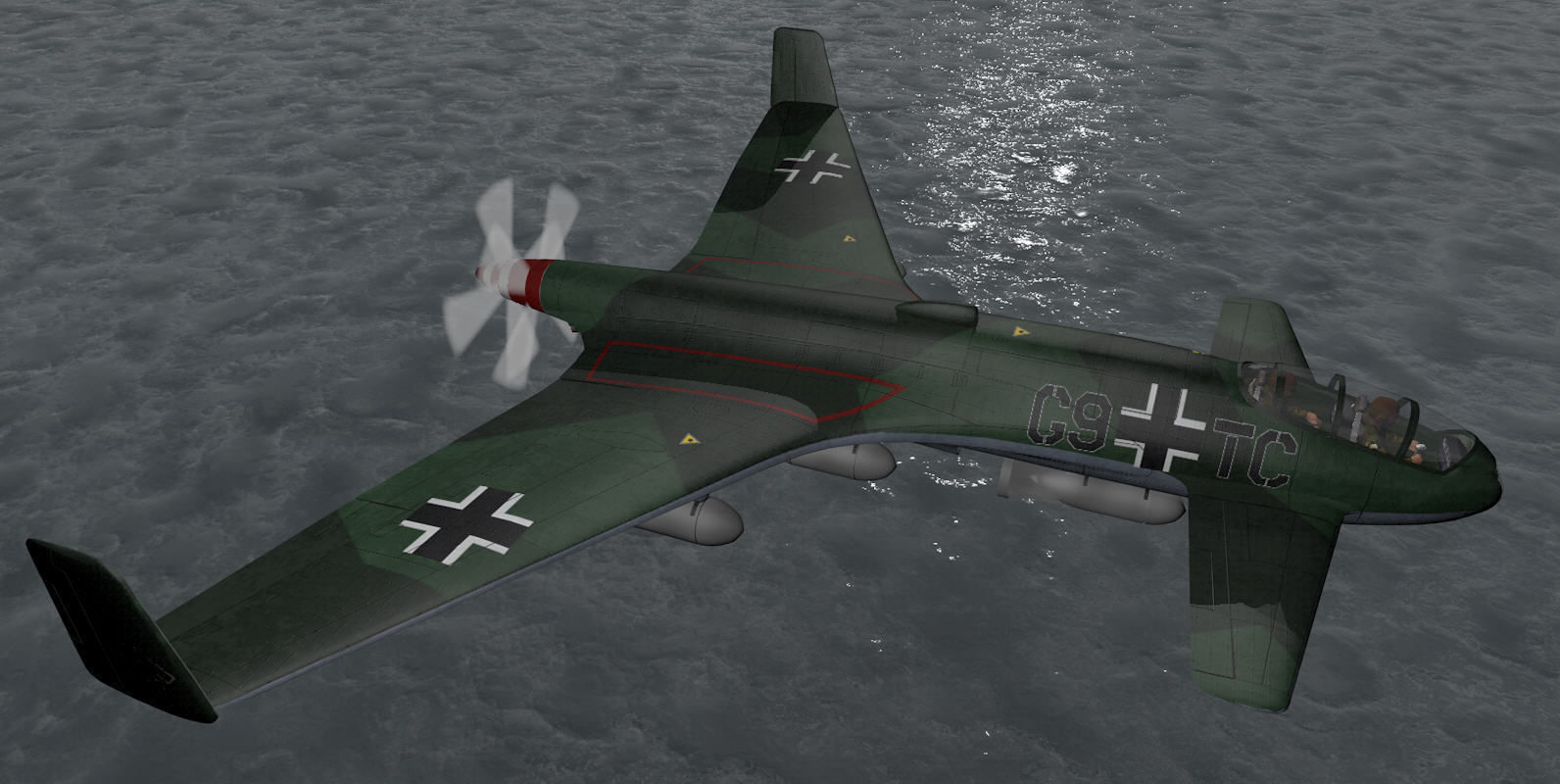 Henschel Hs-P-87 3D model_8