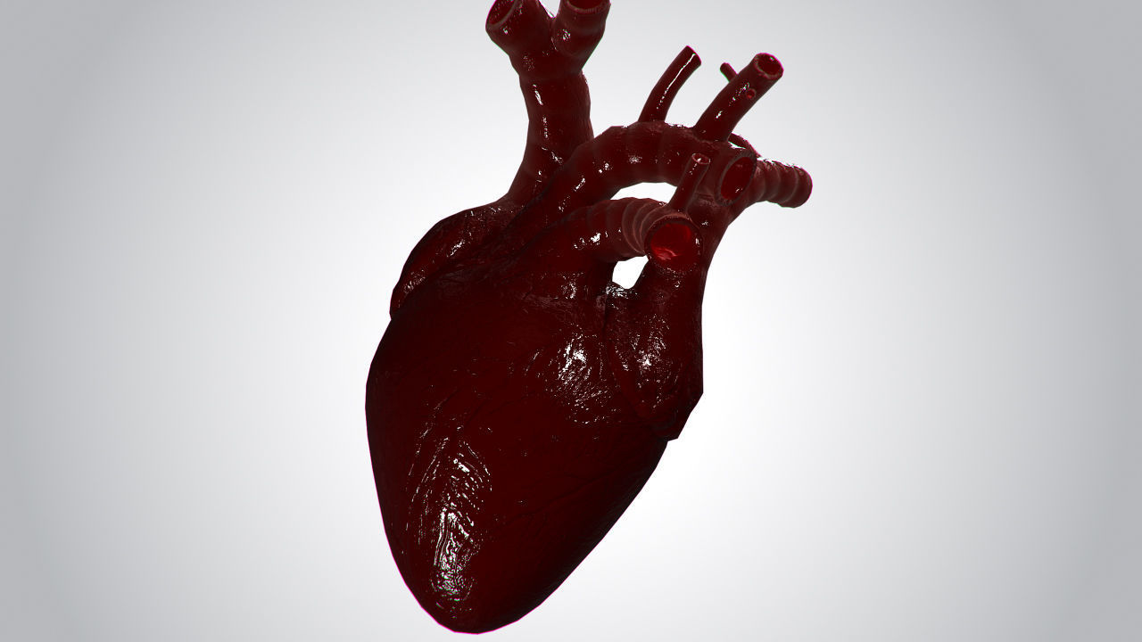Heart Covered In Blood Rigged Animated PBR Low-poly 3D model_5