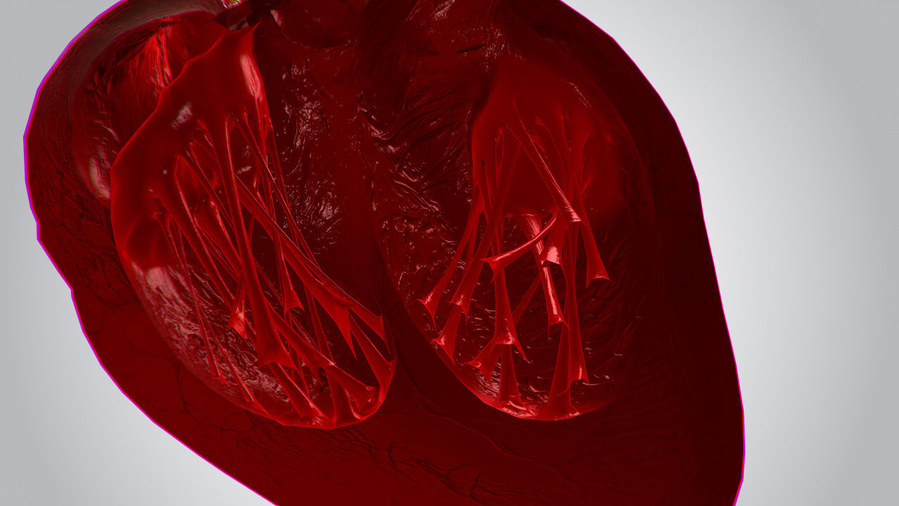 Heart Covered In Blood Rigged Animated PBR Low-poly 3D model_9