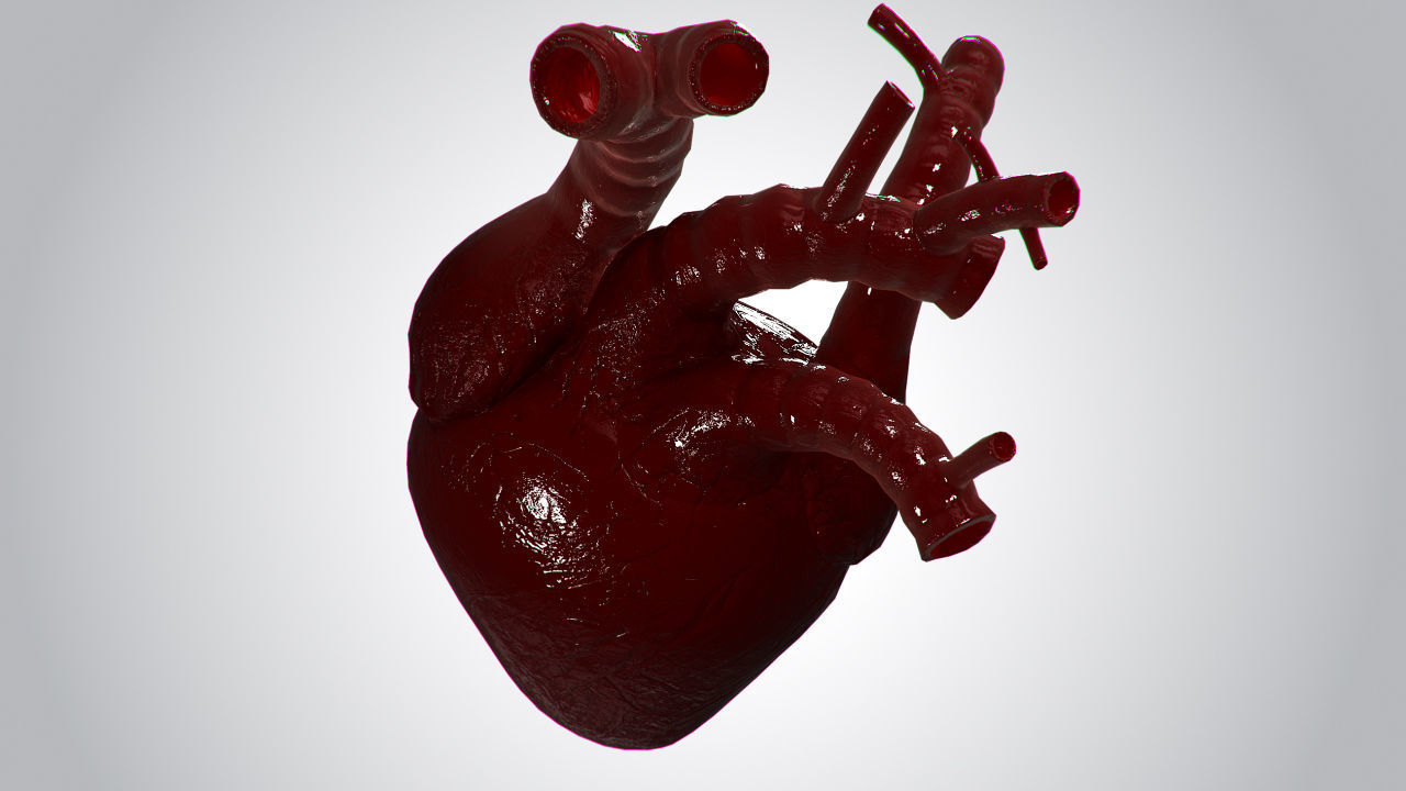 Heart Covered In Blood Rigged Animated PBR Low-poly 3D model_6