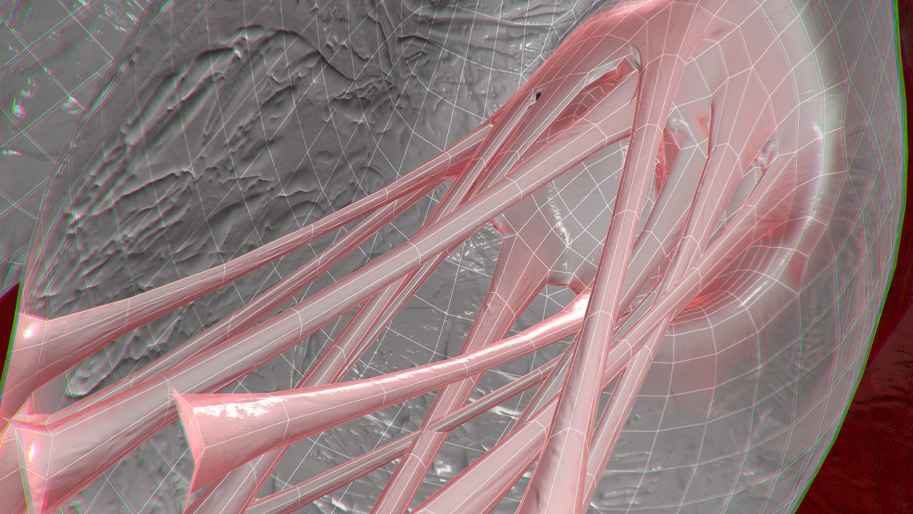 Heart Covered In Blood Rigged Animated PBR Low-poly 3D model_19