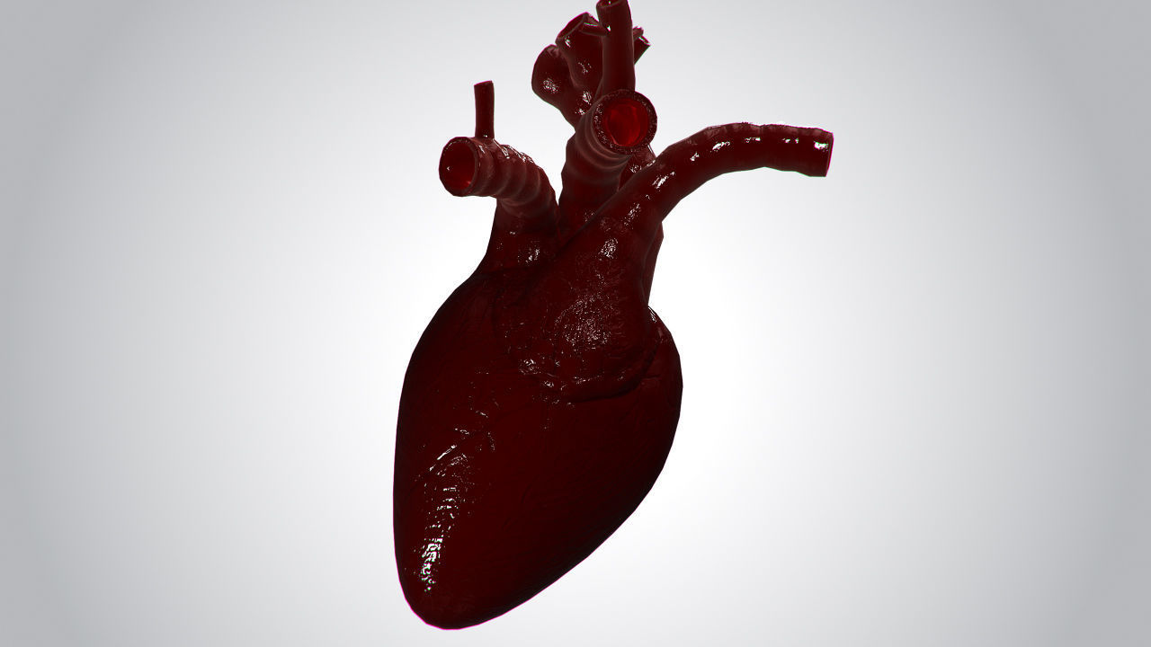 Heart Covered In Blood Rigged Animated PBR Low-poly 3D model_4
