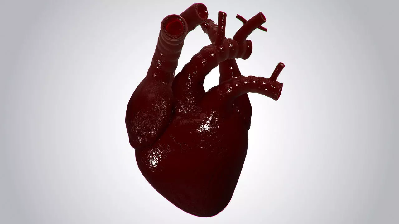 Heart Covered In Blood Rigged Animated PBR Low-poly 3D model_0