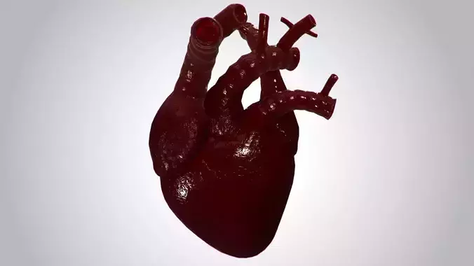 Heart Covered In Blood Rigged Animated PBR Low-poly 3D model