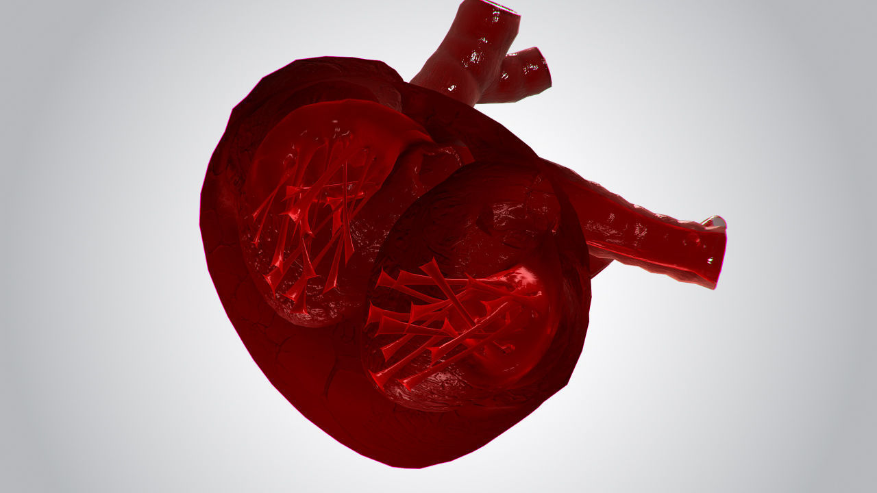 Heart Covered In Blood Rigged Animated PBR Low-poly 3D model_12