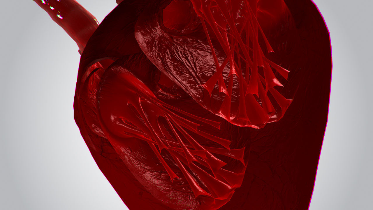 Heart Covered In Blood Rigged Animated PBR Low-poly 3D model_10