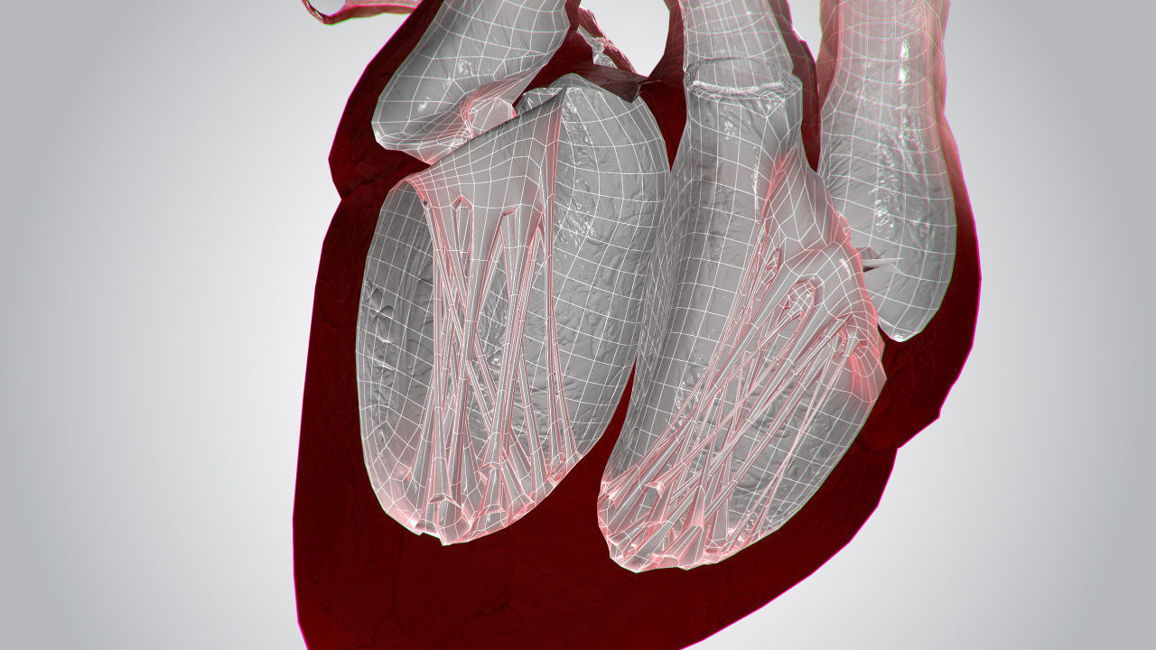 Heart Covered In Blood Rigged Animated PBR Low-poly 3D model_17