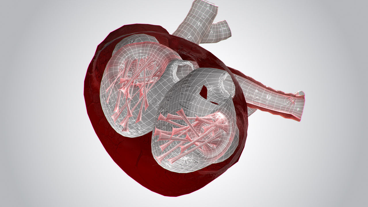 Heart Covered In Blood Rigged Animated PBR Low-poly 3D model_18